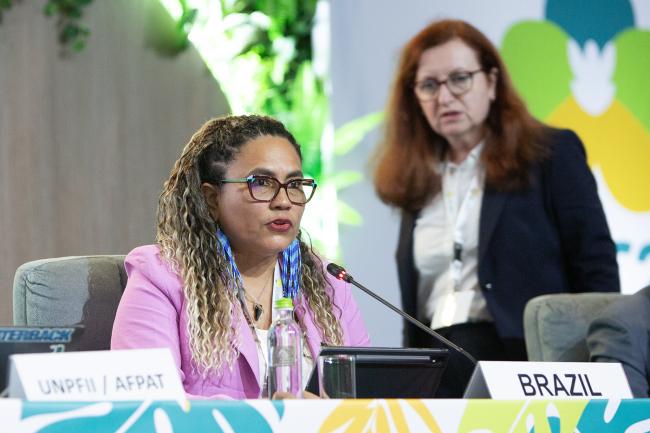 Edel Nazaré Santiago de Moraes is a member of the Traditional Extractivist Community of PAE São João in the Marajó Archipelago -UNCCD-CRIC23-3Dec2025