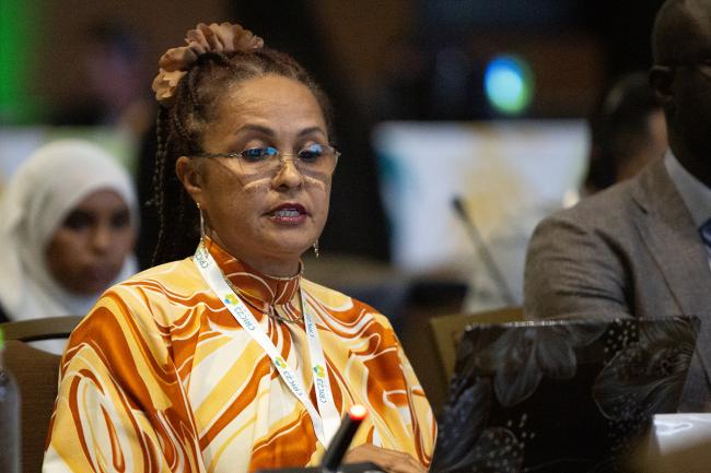 Ellen Otaru Okoedion, Journalists Environmental Association of Tanzania -UNCCD-CRIC23-4Dec2025