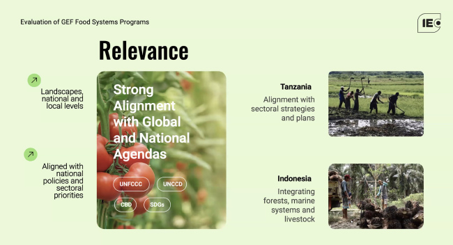 Evaluation of GEF - GEF70 - 16Dec