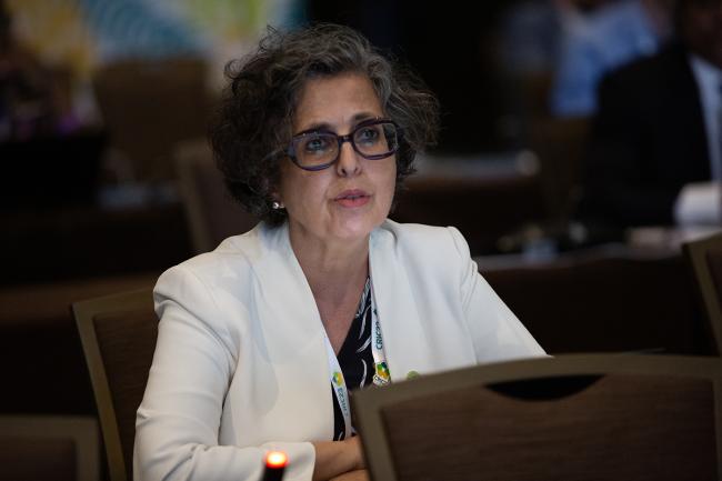FAO -UNCCD-CRIC23-3Dec2025