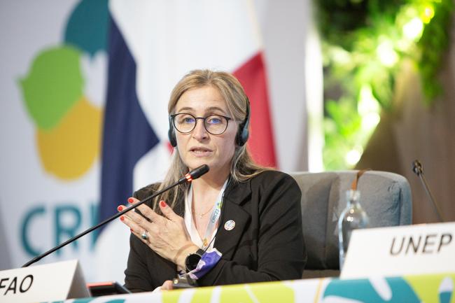 FAO -UNCCD-CRIC23-2Dec2025