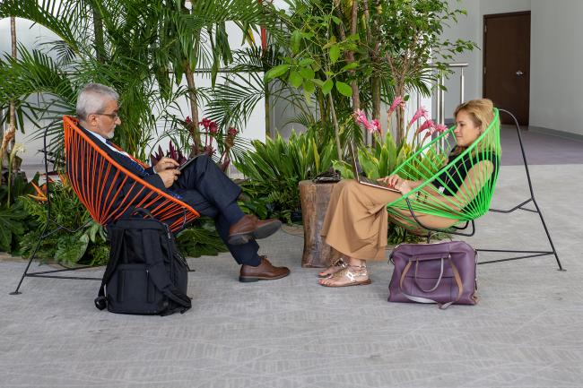 FAO -UNCCD-CRIC23-5Dec2025