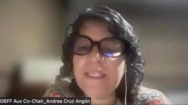 GBFF Aux Co-Chair Andrea Cruz Angón - GEF70 - 19Dec