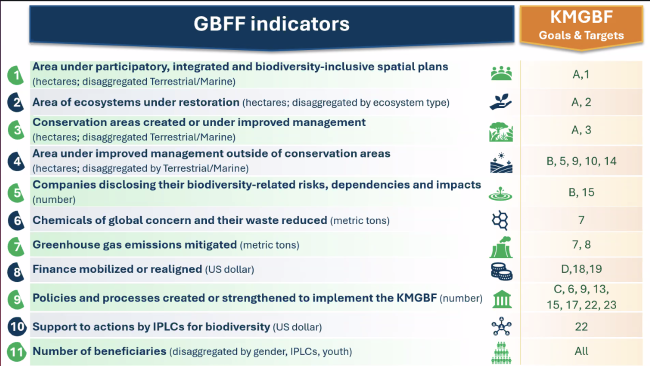 GBFF Indicators - GEF70 - 19Dec