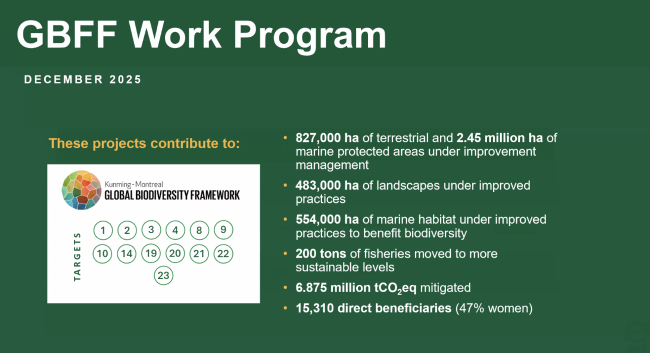 GBFF Work Program - GEF70 - 18Dec