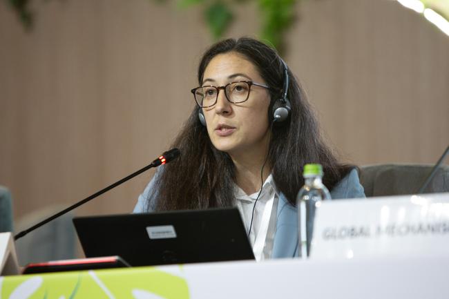 GEF -UNCCD-CRIC23-4Dec2025