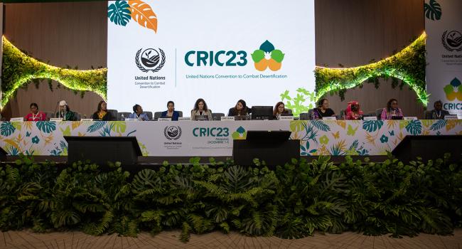 Gender Caucus Panel -UNCCD-CRIC23-3Dec2025