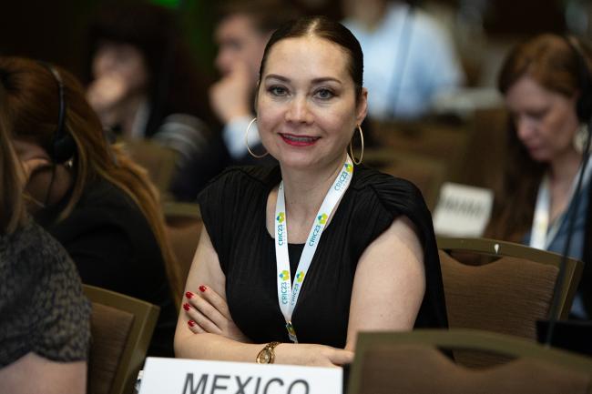 Geynar Delgado, Mexico -UNCCD-CRIC23-3Dec2025