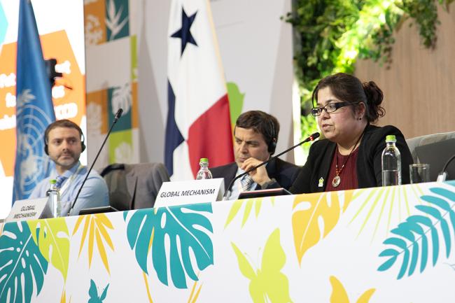 Global Mechanism -UNCCD-CRIC23-2Dec2025