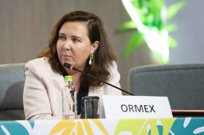Goulnara Aguiar, ORMEX -UNCCD-CRIC23-4Dec2025