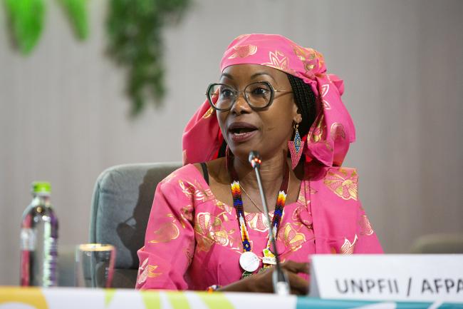Hindou Oumarou Ibrahim, Coordinator of the Association for Indigenous Women and Peoples of Chad -UNCCD-CRIC23-3Dec2025