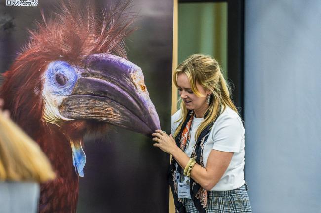 CITES COP20