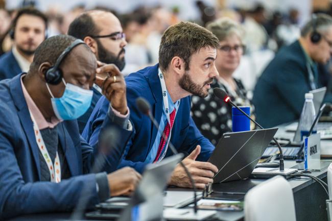 CITES COP20