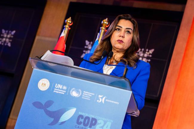 Manal Awad Mikhail, Egypt's Minister of Local Development and Acting Minister of Environment - BARC_COP24_4dec2025-photo