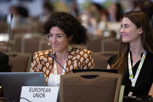 Maria Medina Vidal, EU -UNCCD-CRIC23-3Dec2025