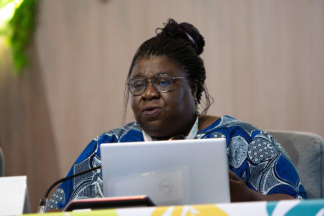 Maurille Elegbede, Benin -UNCCD-CRIC23-4Dec2025