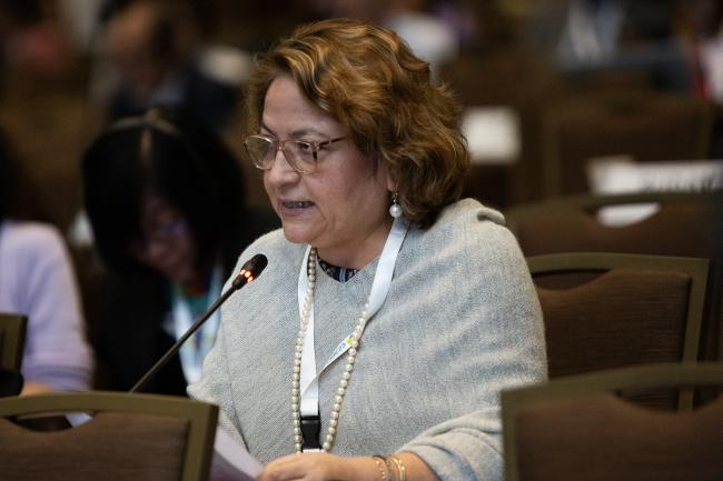 Mercedes Gil, Peru -UNCCD-CRIC23-3Dec2025