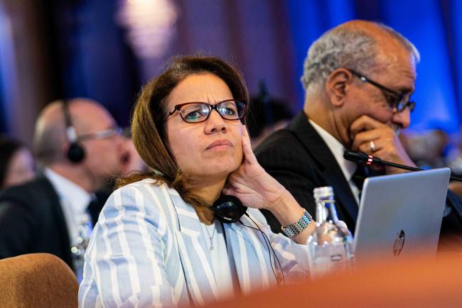 Mona Elbahtimy, Egypt - BARC_COP24_2dec2025