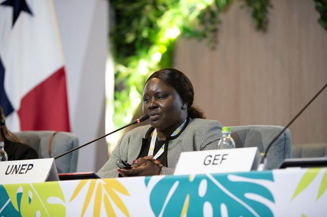 Nancy Soi, UNEP -UNCCD-CRIC23-2Dec2025