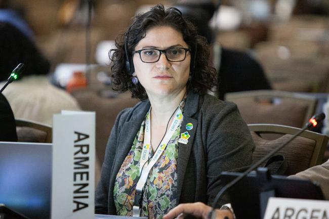 Narine Hakobyan, Armenia - UNCCD-CRIC23-4Dec2025
