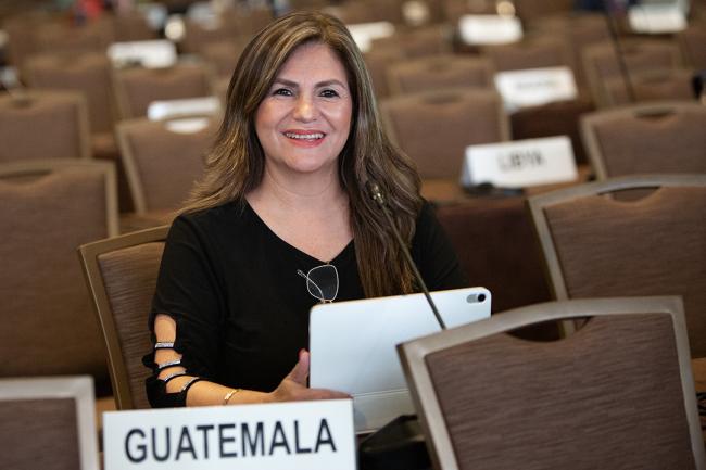 Nasly Anabely Escobar López, Guatemala -UNCCD-CRIC23-3Dec2025