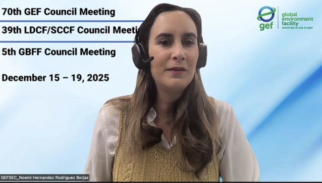 Noemi Hernández Rodríguez Borjas, Council Secretary, GEF Secretariat - GEF70 - 18Dec 