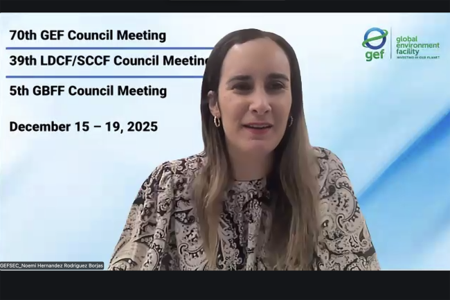 Noemi Hernández Rodríguez Borjas, Council Secretary, GEF Secretariat - GEF70-15Dec