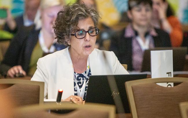 Nora Berrahmouni, FAO -UNCCD-CRIC23-1Dec2025