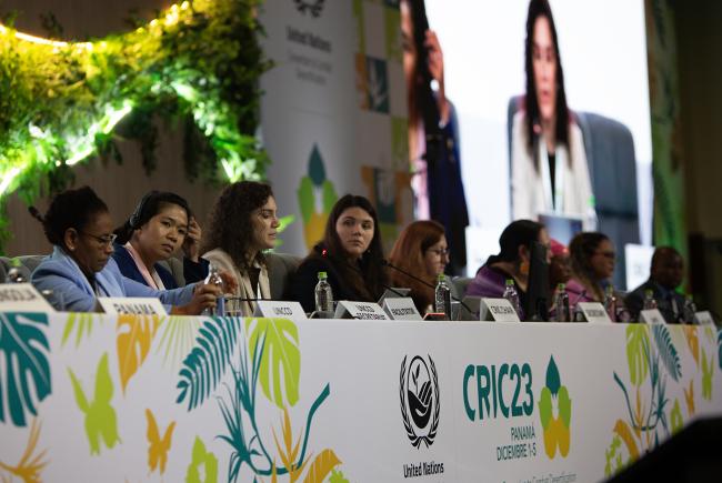 Panel -UNCCD-CRIC23-3Dec2025
