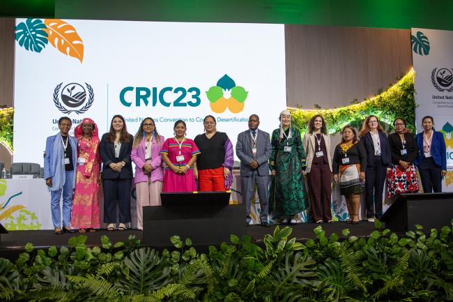 Panel Group Picture -UNCCD-CRIC23-3Dec2025