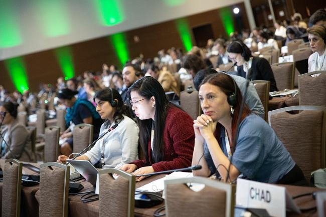 Participants -UNCCD-CRIC23-2Dec2025