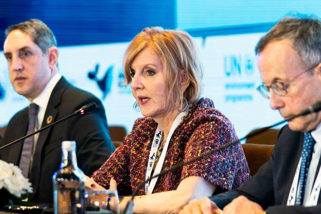 Panel Session Sustainable Blue Economy for a resilient and healthy Mediterranean
