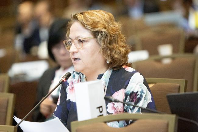 Peru -UNCCD-CRIC23-2Dec2025