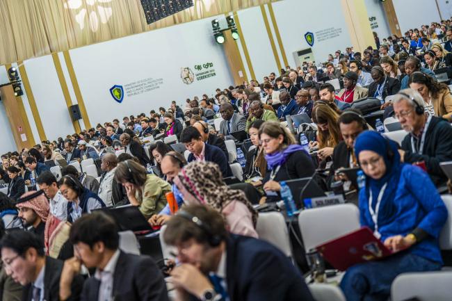 CITES COP20