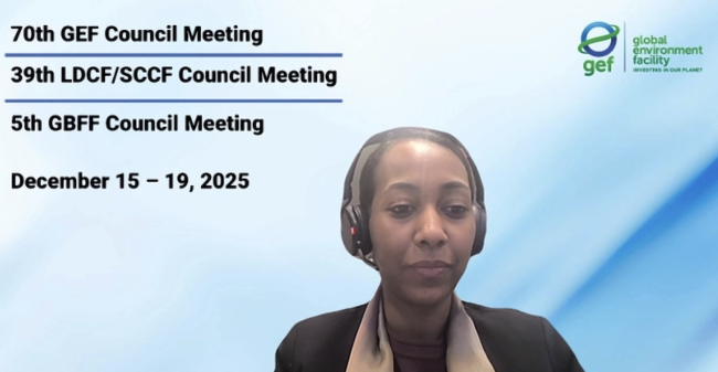 Razan Nimir, GEF Secretariat - GBFF - GEF70 - 19Dec