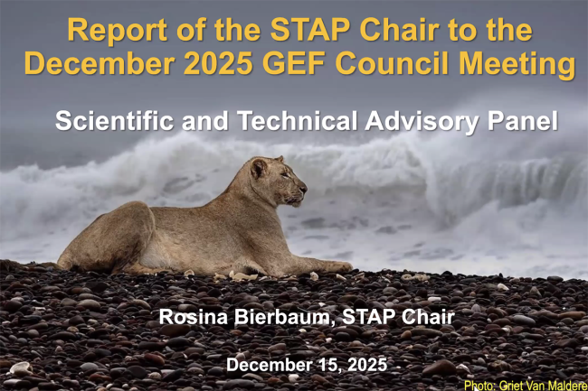 Report STAP, GEF STAP - GEF70-15Dec