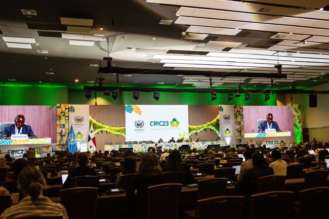Room -UNCCD-CRIC23-5Dec2025