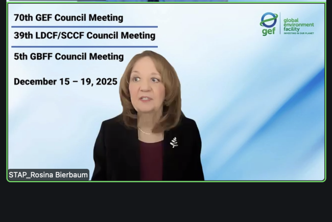 Rosina Bierbaum, GEF STAP - GEF70-15Dec