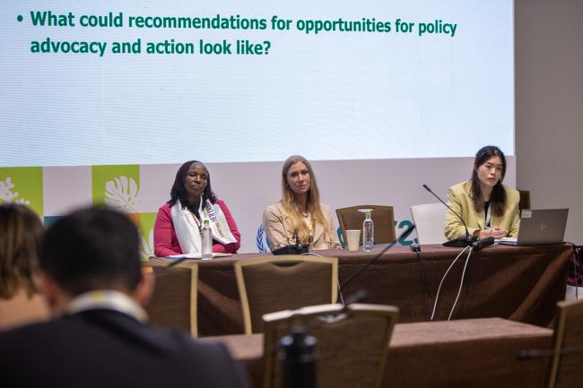 SE 3 -UNCCD-CRIC23-3Dec2025