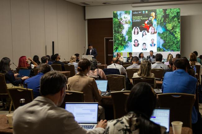 SE Panama 1 -UNCCD-CRIC23-4Dec2025