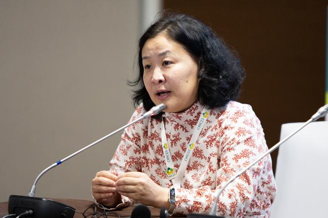 SE1-1 -UNCCD-CRIC23-2Dec2025