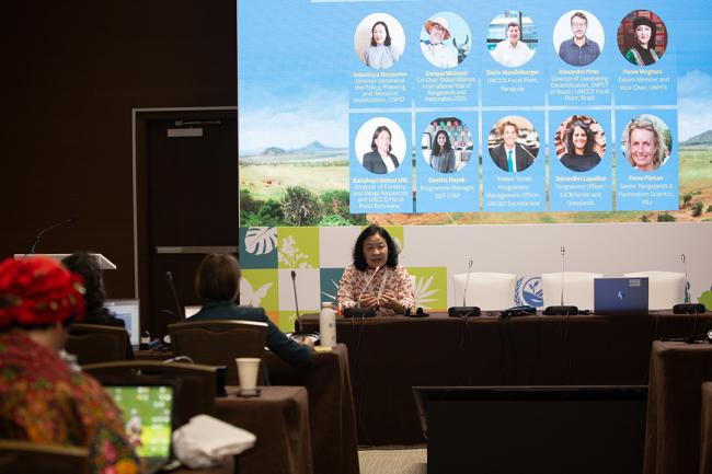 SE1-2 -UNCCD-CRIC23-2Dec2025