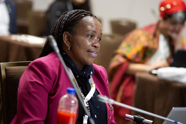 SE1-3 -UNCCD-CRIC23-2Dec2025