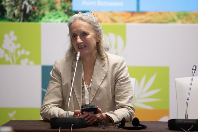 SE1-4 -UNCCD-CRIC23-2Dec2025