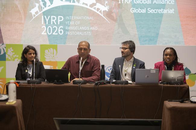 SE1-5 -UNCCD-CRIC23-2Dec2025