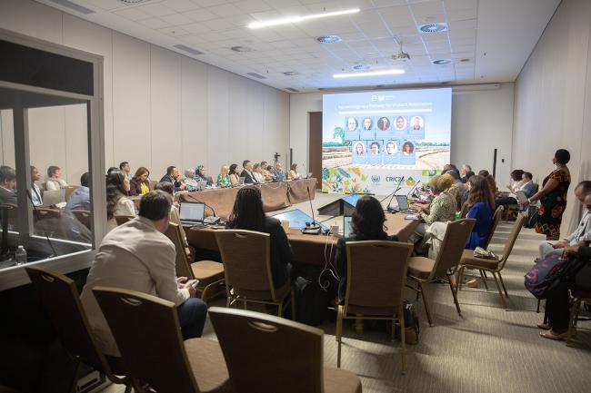 SE2-3 -UNCCD-CRIC23-4Dec2025