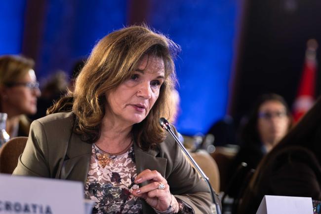 Semla Čegnić, Executive Director, Hydro-Engineering Institute Sarajevo, Bosnia and Herzegovina - BARC_COP24_4dec2025-photo