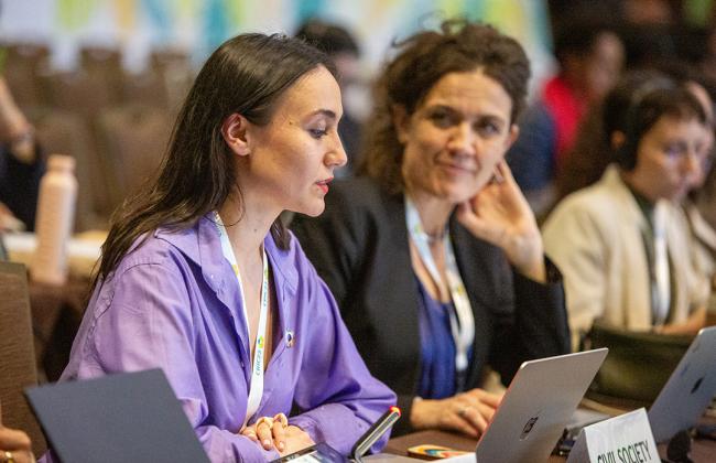 Sopiko Babalashvili Young Professionals for Agricultural Development (YPARD) -UNCCD-CRIC23-1Dec2025