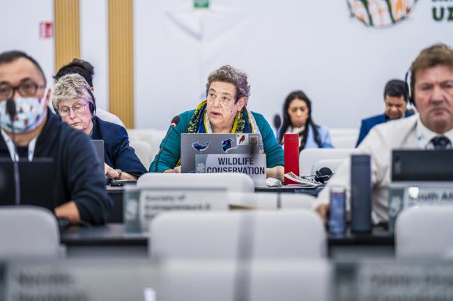 CITES COP20