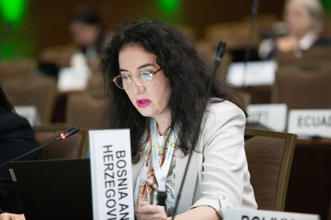 Svetlana Lazić, Bosnia and Herzegovina -UNCCD-CRIC23-4Dec2025